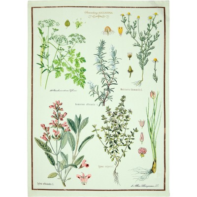 ΠΕΤΣΕΤΑΚΙ AUGUSTINA 50x70