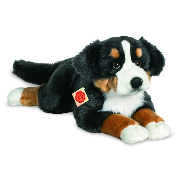 ΣΚ.BERNER SENNENHUND 60cm.ΚΑΘ.