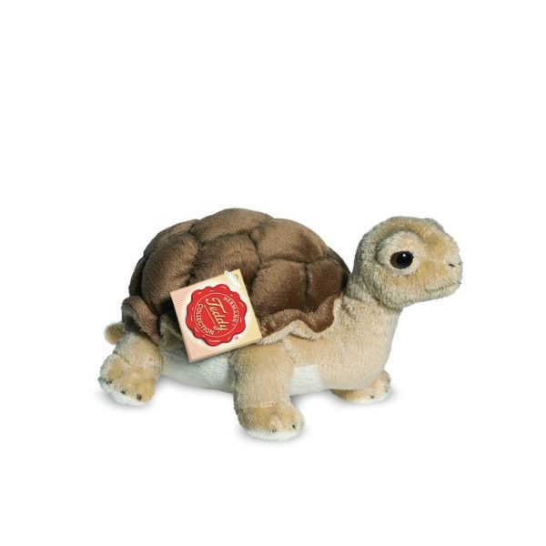 ΧΕΛΩΝΑ 20cm ΚΑΦΕ