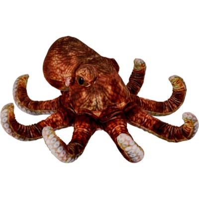 ΧΤΑΠOΔΙ 40cm