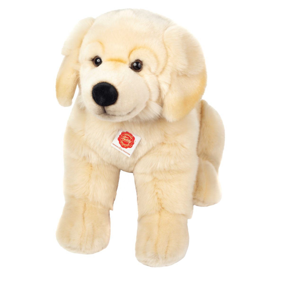 ΣΚΥΛΟΣ RETRIEVER 50CM