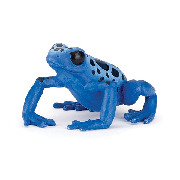 ΒΑΤΡΑΧΟΣ ΜΠΛΕ 5x3x3 D3