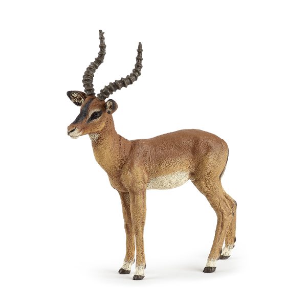 IMPALA 9x11x3 D3