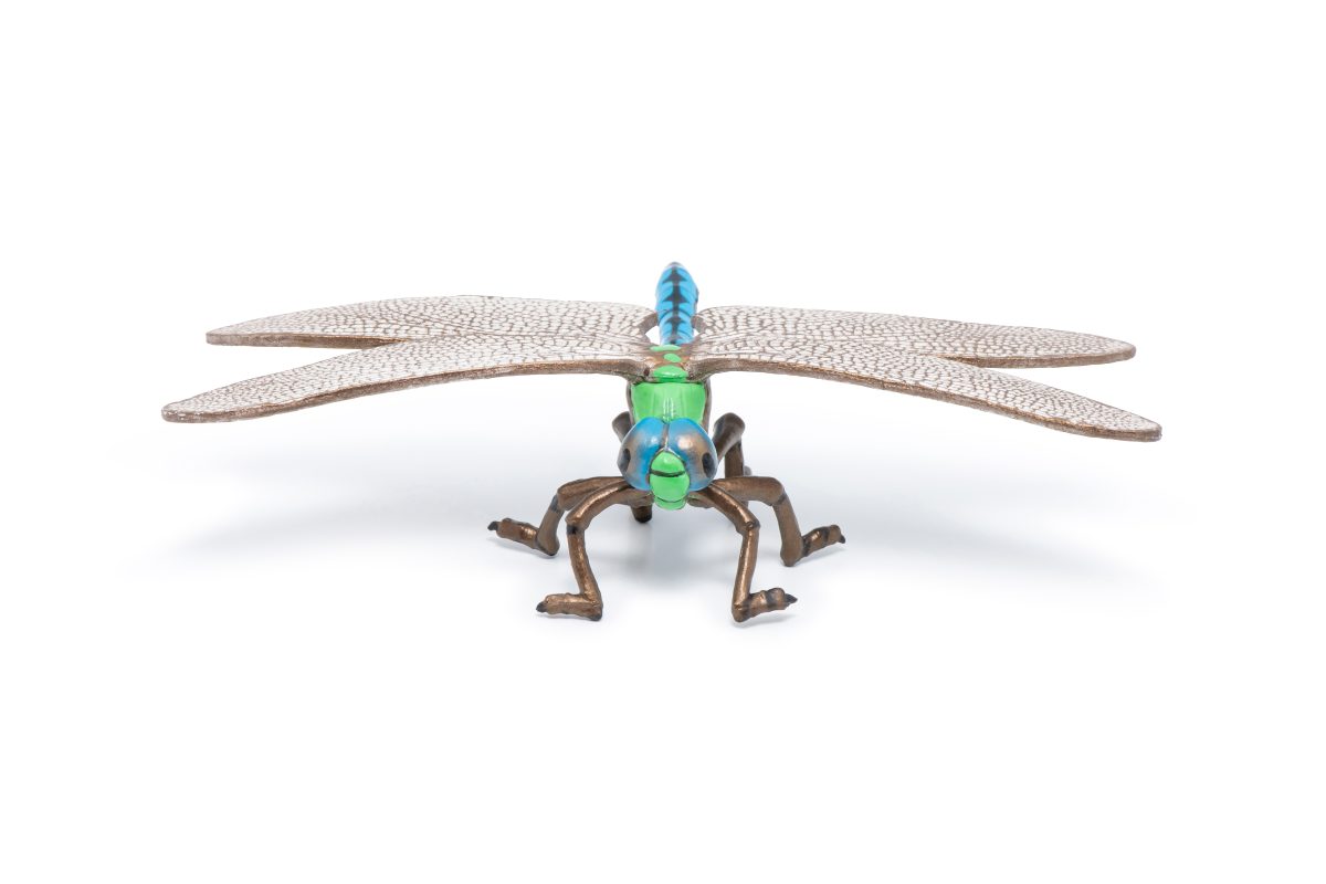 DRAGONFLY 7x11x4 D2