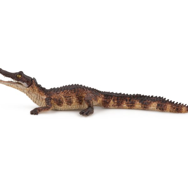 ΚΕΙΜΑΝ 17x6x3 D3