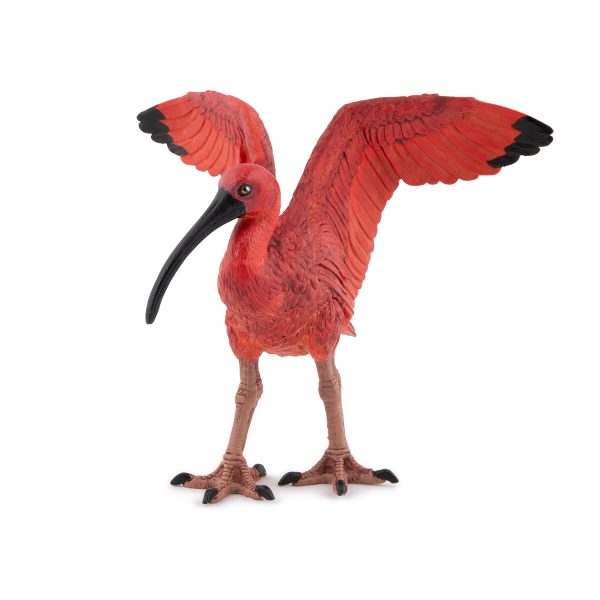 SCARLET IBIS 7x6x6 D3