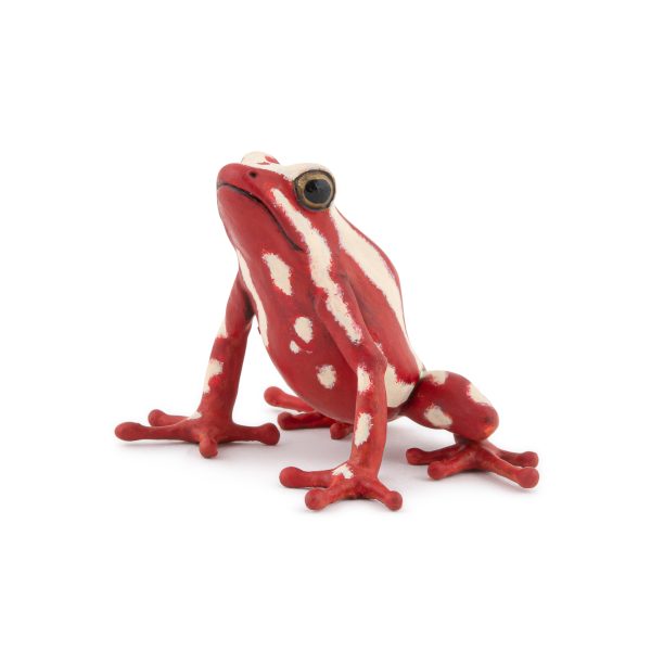 POISON DART FROG 4x5x4 D3