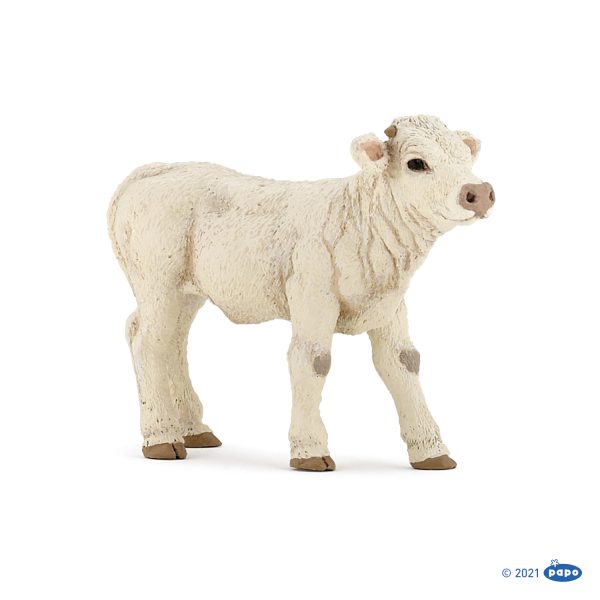 ΜΟΣΧΑΡΑΚΙ CHAROLAIS 8x4x6 D3