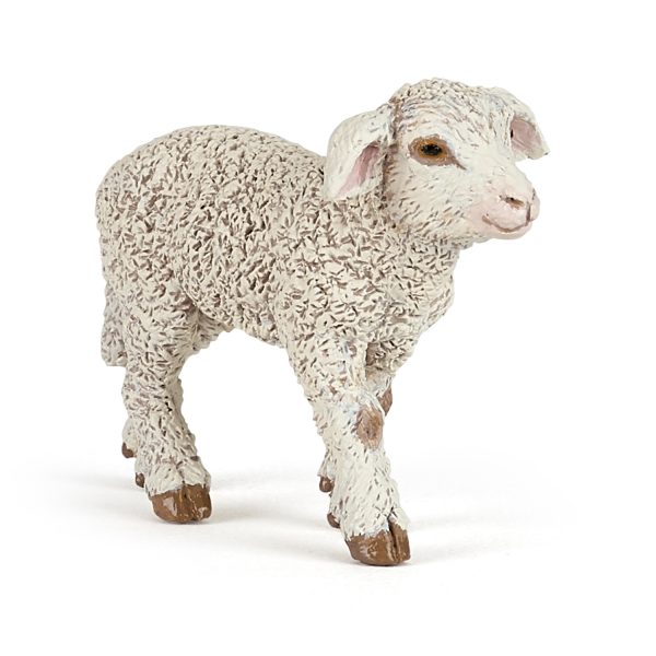 ΑΡΝΙ MERINOS 6x2x4 D3
