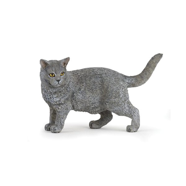 CHARTREUX 8x2x5 D3