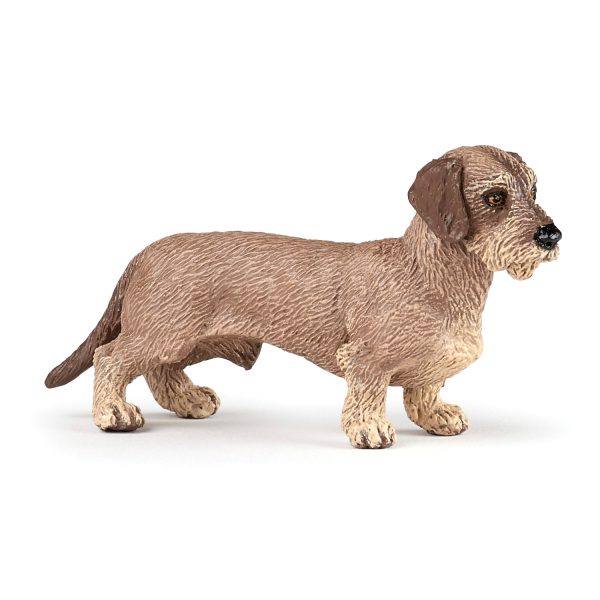DACHSHUND 8x3x5 D3