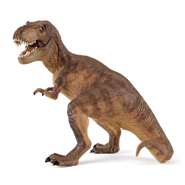 T-REX 17x12x16 D1