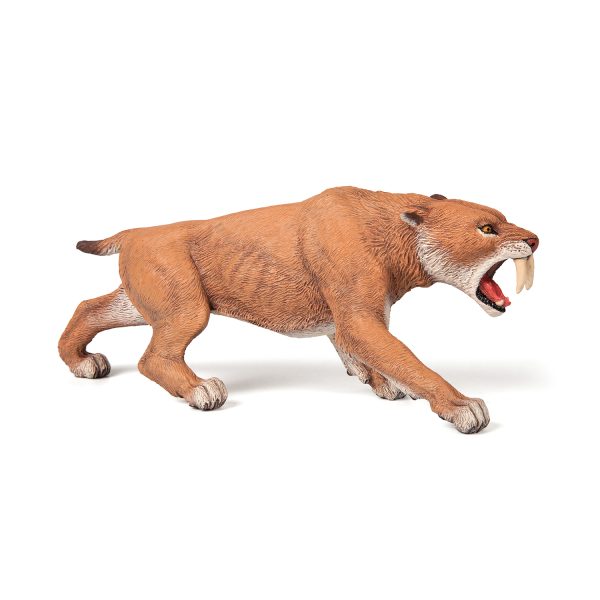 SMILODON 16x5x6 D2