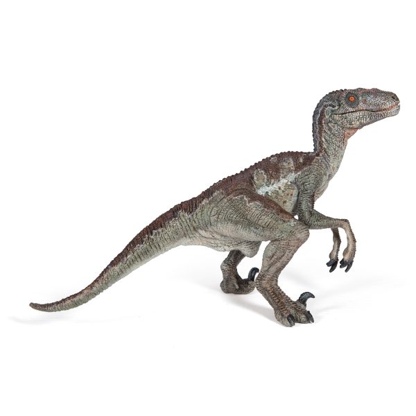 VELOCIRAPTOR 7x10x10 D2