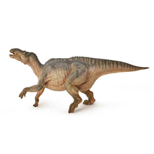IGUANODON 25x7x11 D1