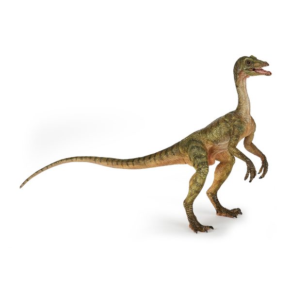 COMPSOGNATHUS 15x12x6 D2