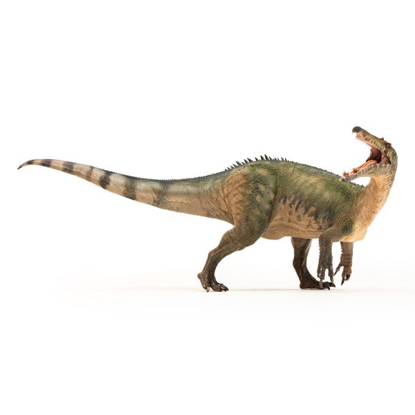 SUCHOMIMUS 27x12x12 D1