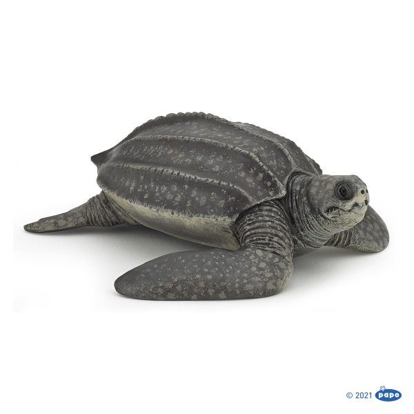 ΔΕΡΜΑΤΙΝΗ ΧΕΛΩΝΑ 10x9x3 D3