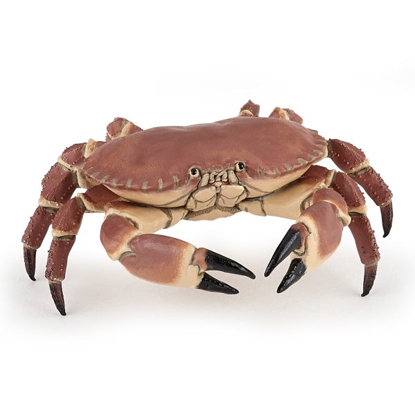 ΚΑΒΟΥΡΙ 8x8x3 D3